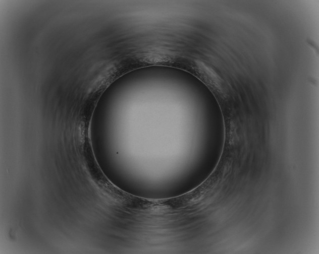 X0000093230210200709261658
