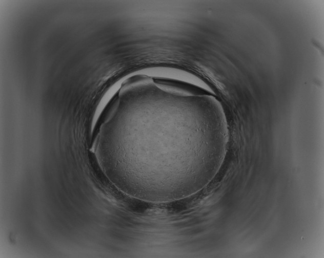 X0000093230211200709261658