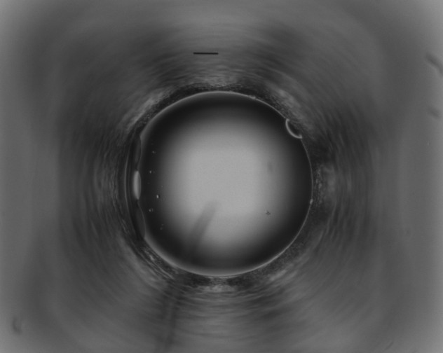 X0000093230212200709261658