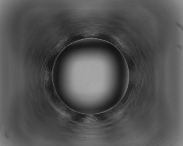X0000093230215200709261658