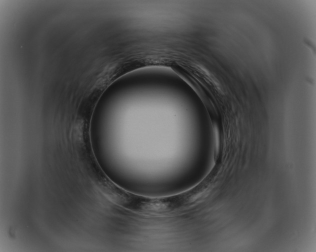 X0000093230217200709261658
