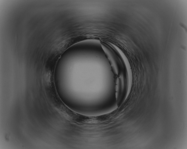 X0000093230219200709261658