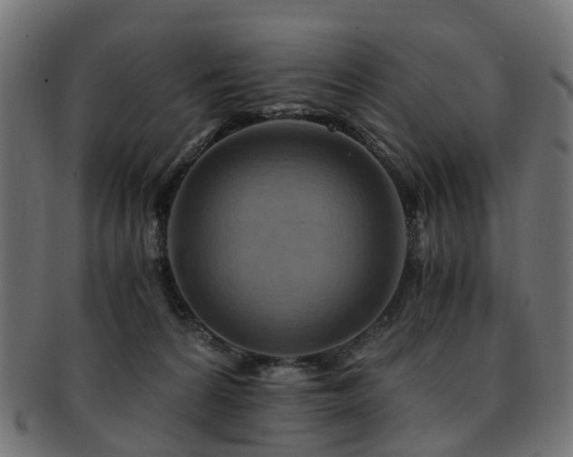 X0000093230224200709261658