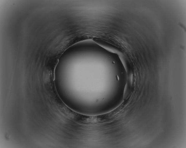 X0000093230225200709261658