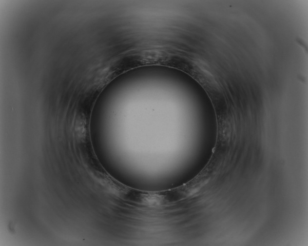 X0000093230226200709261658