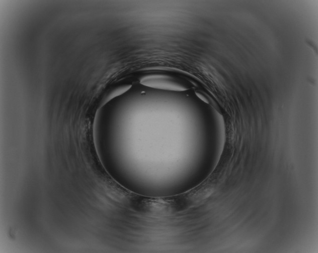 X0000093230229200709261658