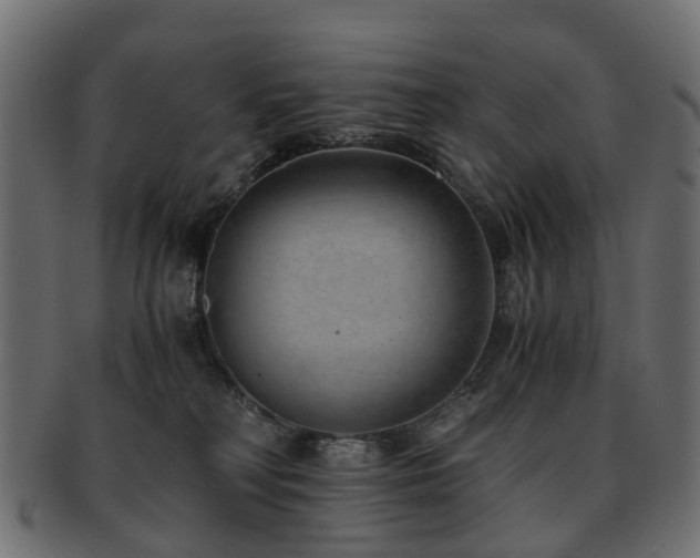 X0000093230230200709261658