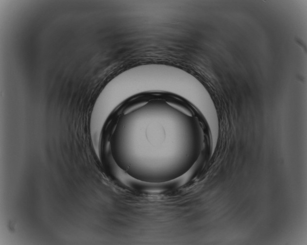 X0000093230233200709261658