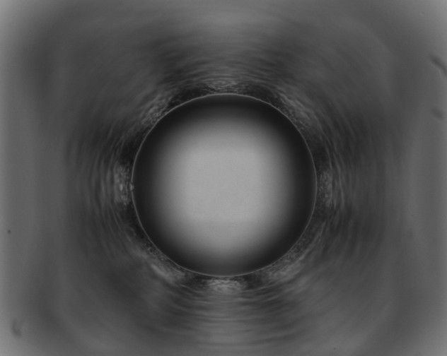 X0000093230234200709261658