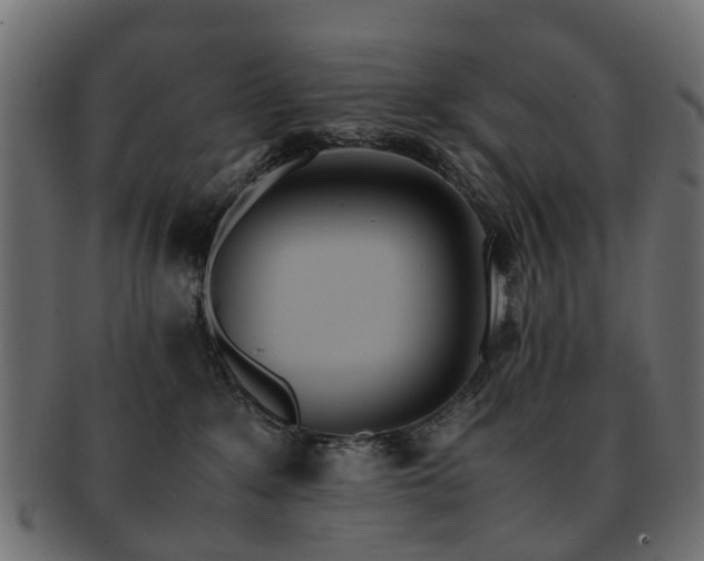 X0000093230235200709261658