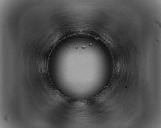 X0000093230236200709261658