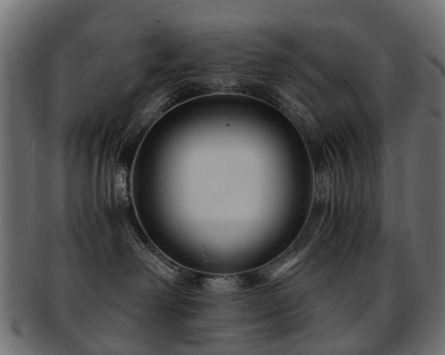 X0000093230238200709261658