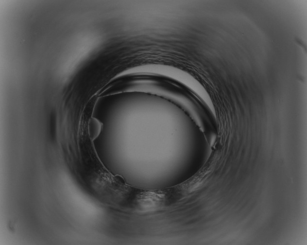 X0000093230239200709261658