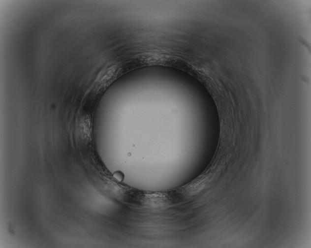 X0000093230240200709261658