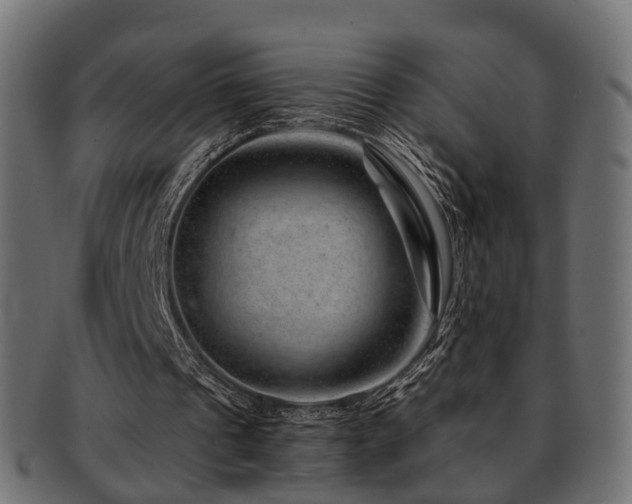 X0000093230241200709261657