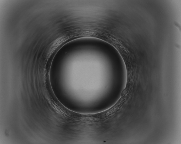 X0000093230242200709261657