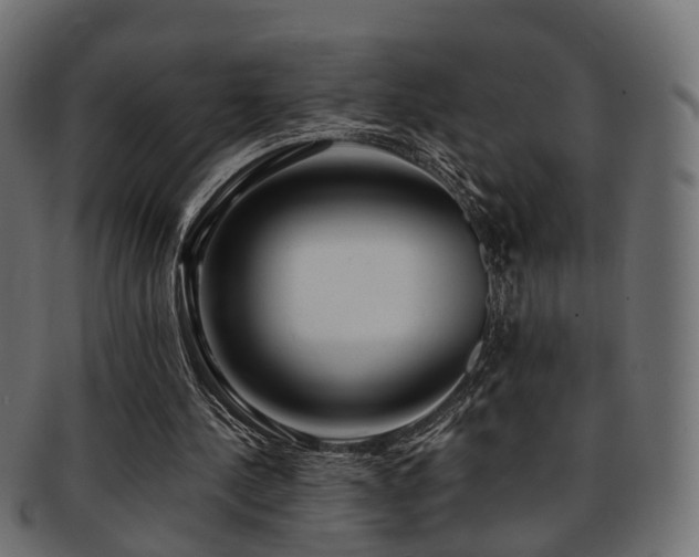 X0000093230244200709261657