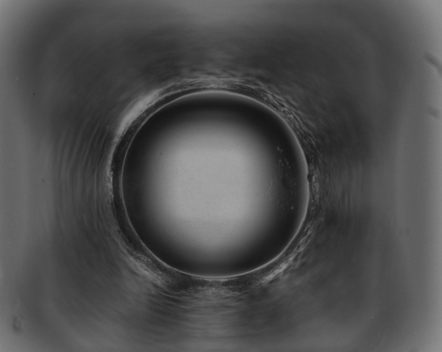 X0000093230246200709261657