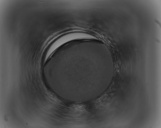 X0000093230247200709261657
