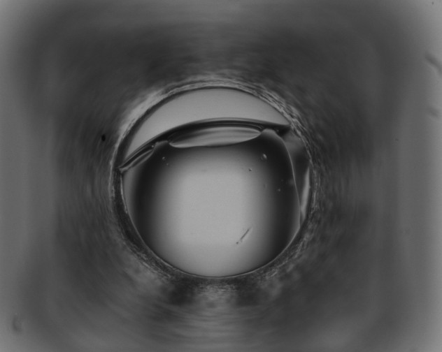 X0000093230248200709261657