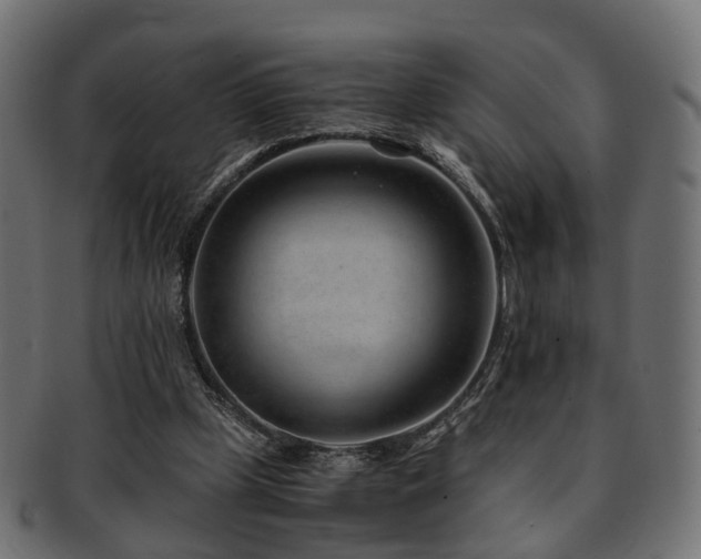 X0000093230249200709261657