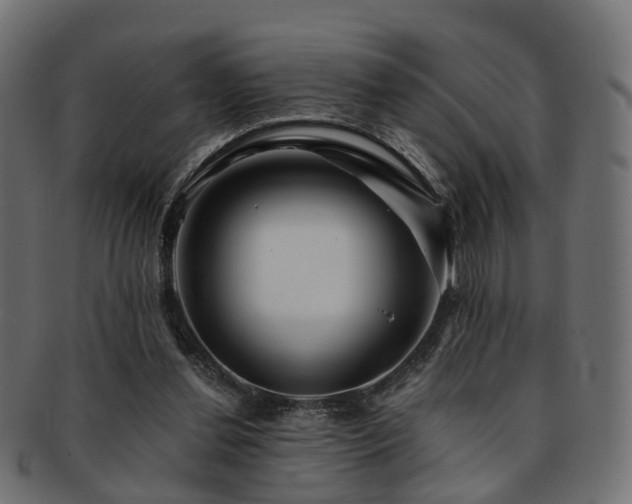 X0000093230252200709261657