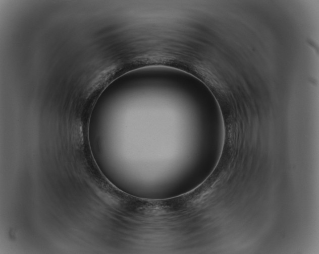 X0000093230254200709261658