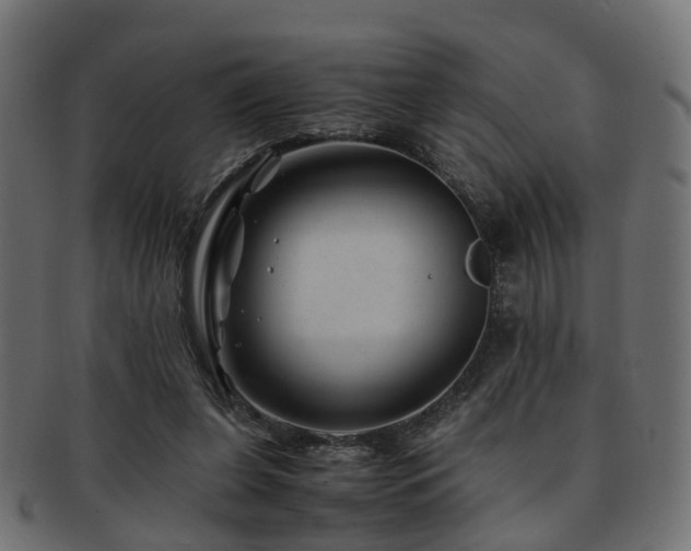 X0000093230255200709261658