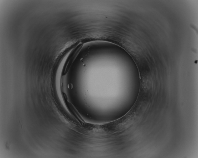 X0000093230256200709261658