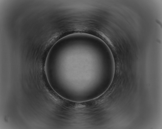 X0000093230257200709261658