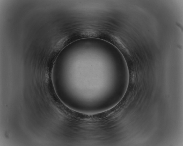 X0000093230259200709261658