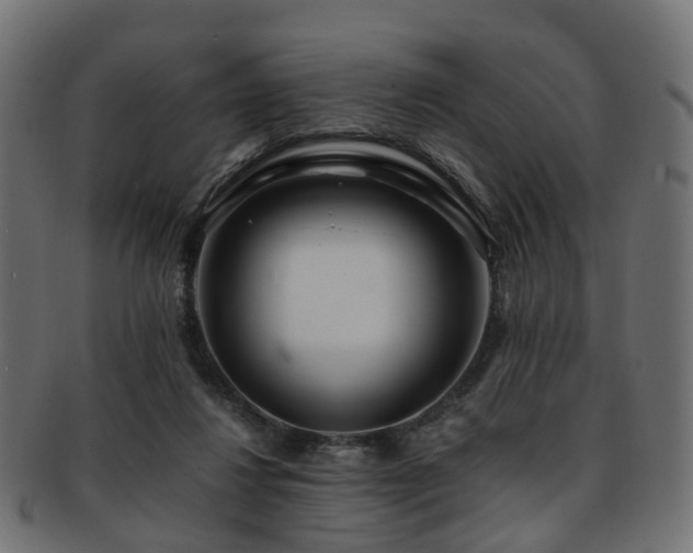 X0000093230260200709261658