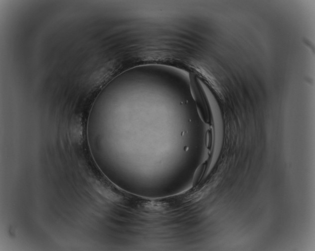 X0000093230261200709261658