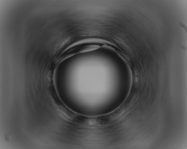 X0000093230264200709261658