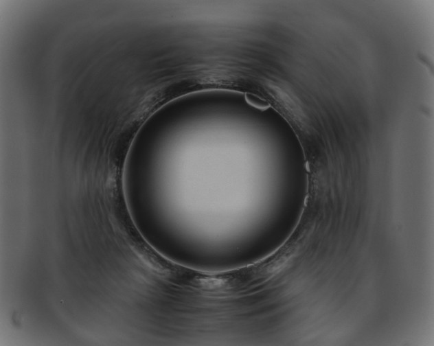 X0000093230265200709261658
