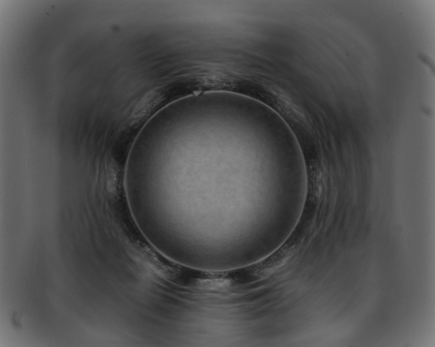 X0000093230266200709261658