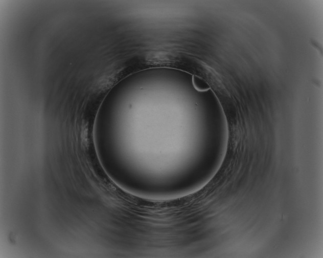 X0000093230267200709261658