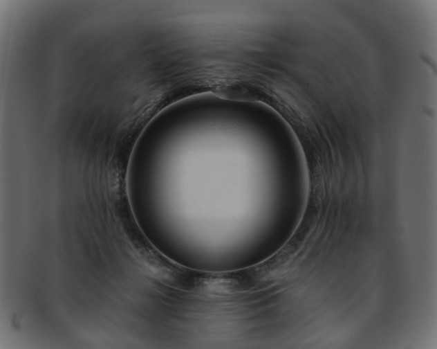 X0000093230268200709261658