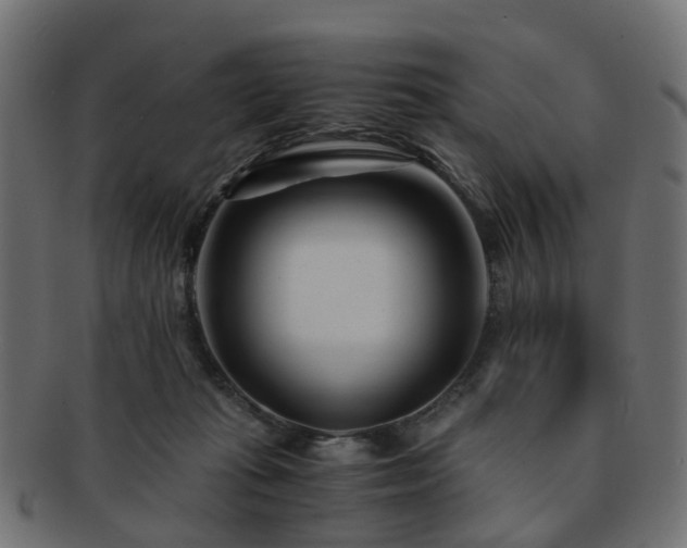 X0000093230269200709261658