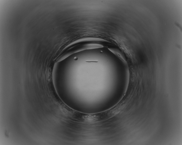 X0000093230273200709261658
