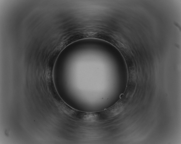 X0000093230274200709261658