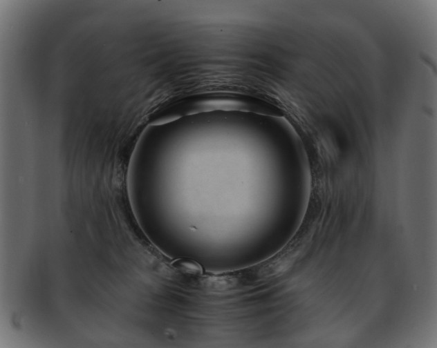 X0000093230277200709261658