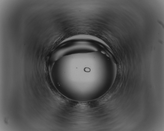 X0000093230280200709261658