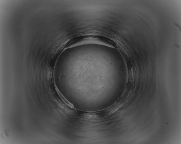 X0000093230284200709261658