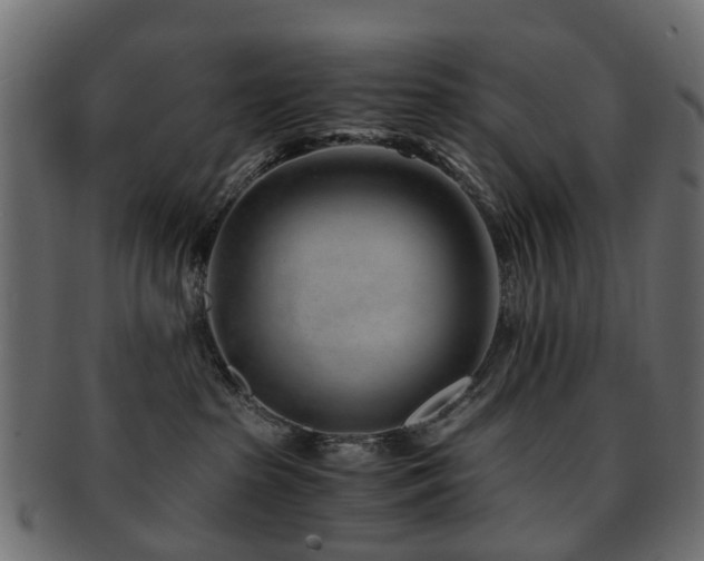 X0000093230285200709261658