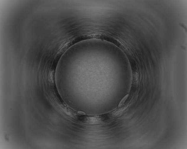 X0000093230286200709261658