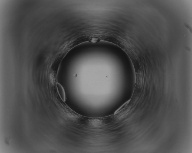 X0000093230287200709261658