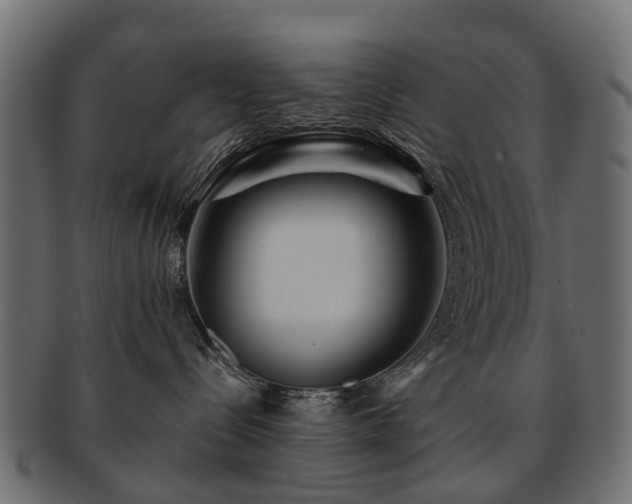 X0000093230288200709261658
