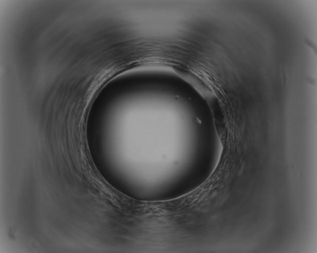 X0000093230289200709261657