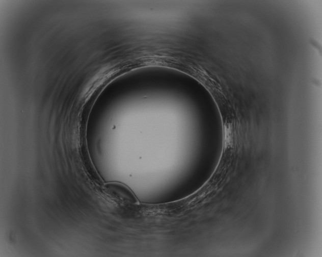X0000093230291200709261657